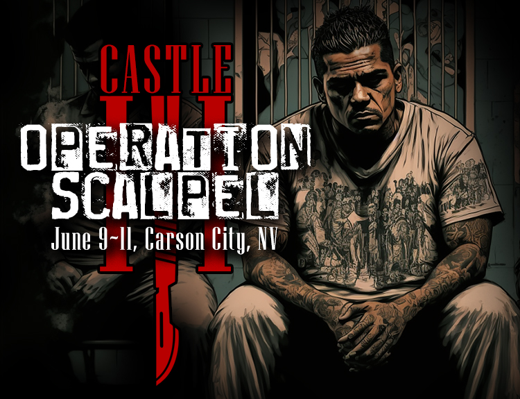 Castle 3 Operation Scalpel poster