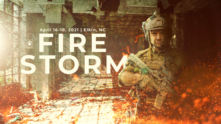 Fire Storm poster